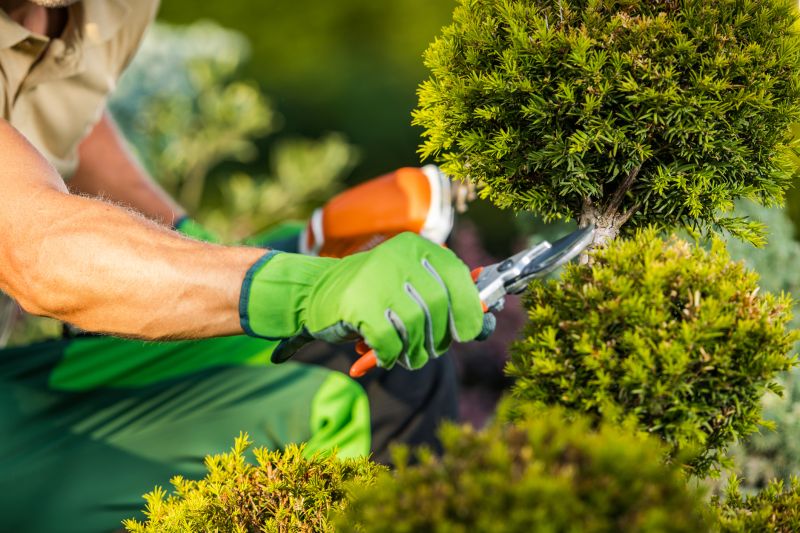 Gardening Service