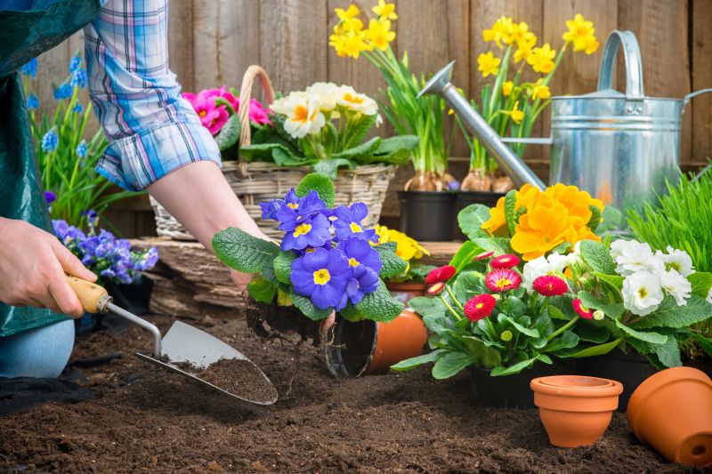 Gardening Service