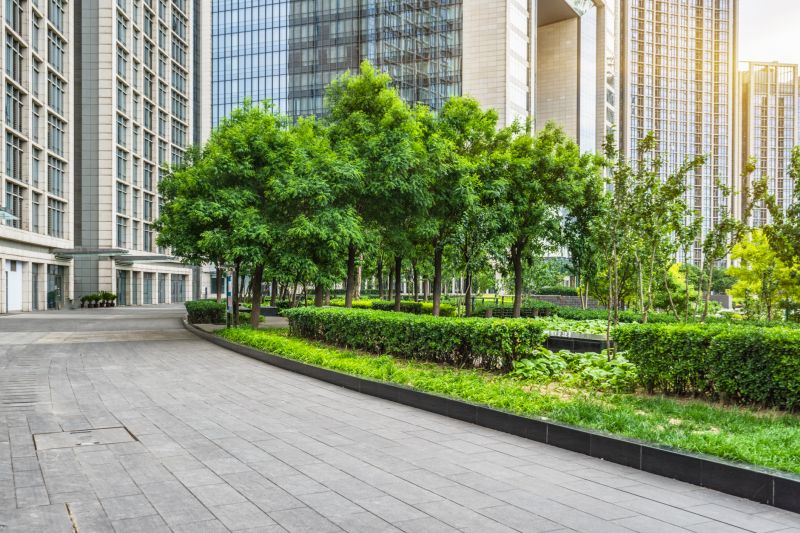Hedge Installation