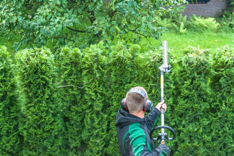 Hedge Installation