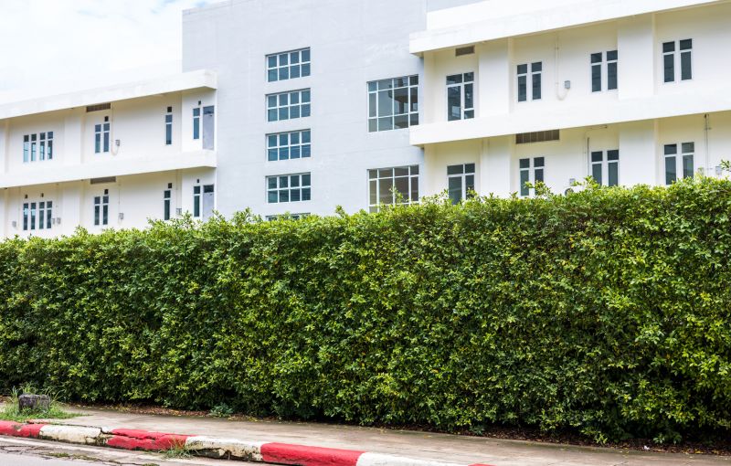 Hedge Installation