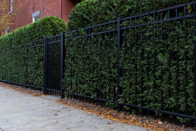 Hedge Installation