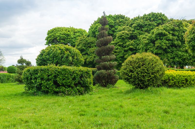 Shrub Replacement