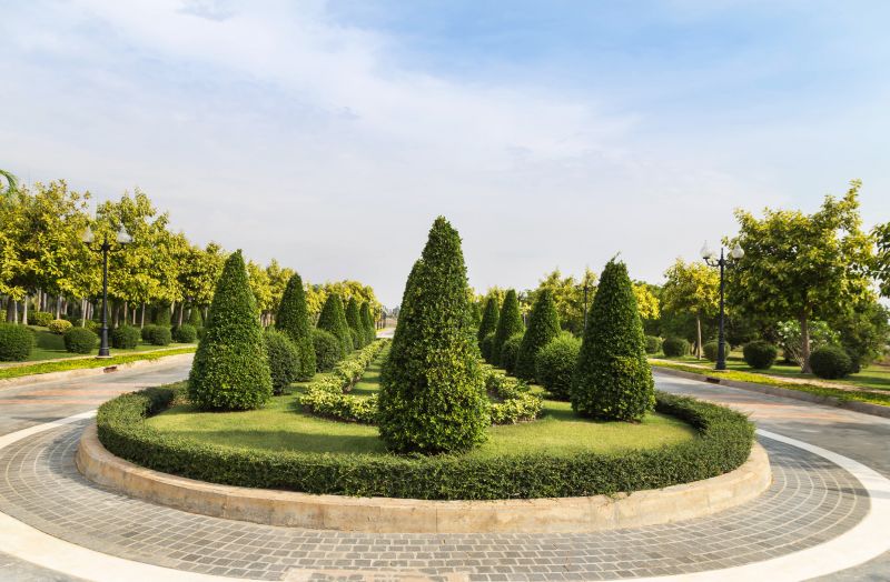 Shrub Replacement
