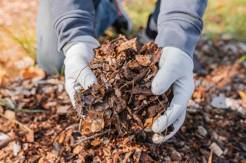Weeding And Mulching